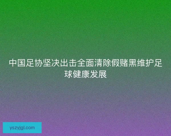 中国足协坚决出击全面清除假赌黑维护足球健康发展
